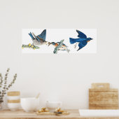 Poster van audubon Bluebird Animal Wildlife (Keuken)
