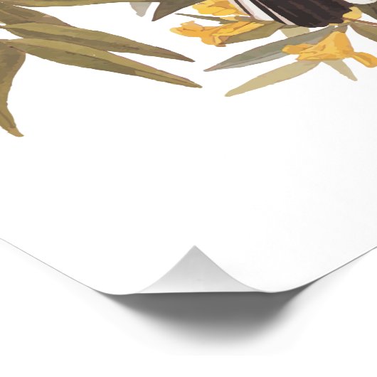 Poster van Audubon's Mockingbird (Hoek)