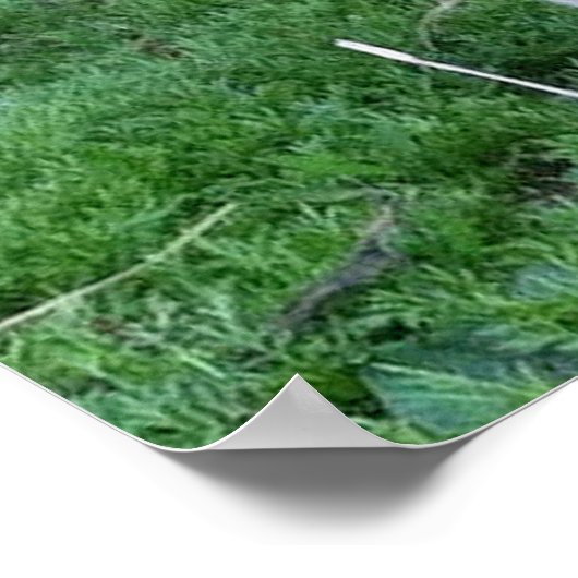 Poster van baby (Hoek)