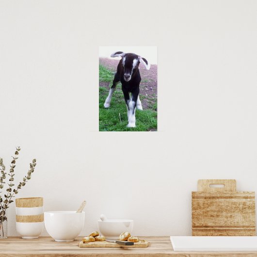 Poster van baby (Keuken)