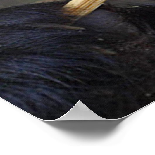 Poster van bamboeboom (Hoek)