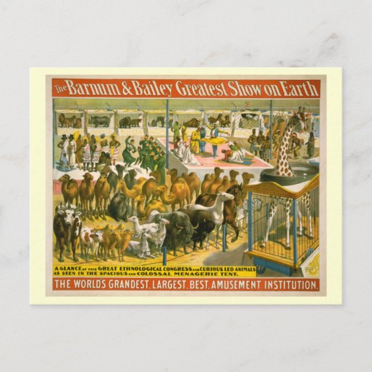 Poster van Barnum en Bailey Circus Briefkaart (Voorkant)