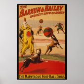 Poster van Barnum en Bailey Circus Foot-Ball Dogs (Voorkant)