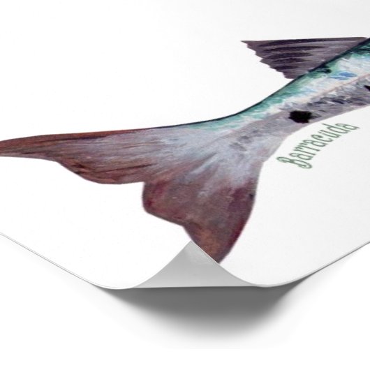 Poster van Barracuda (Hoek)