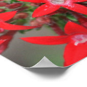 Poster van beatitudes (met Oranje vlinder) (Hoek)