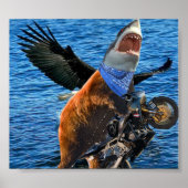 poster van beer haaien (Voorkant)