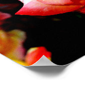 Poster van beschilderd Roos (Hoek)