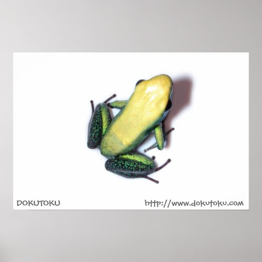 Poster van bicolor (Voorkant)