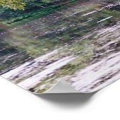 poster van biltmore (Hoek)