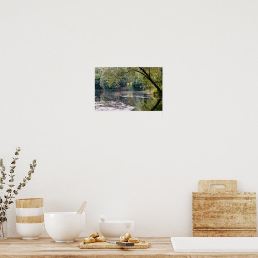 poster van biltmore (Keuken)