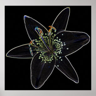 Poster van Black-Velvet Lily