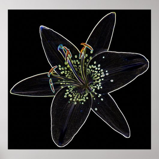 Poster van Black-Velvet Lily (Voorkant)
