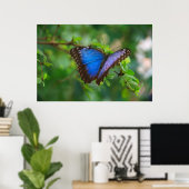 Poster van Blauwe Vlinder (Thuiskantoor)