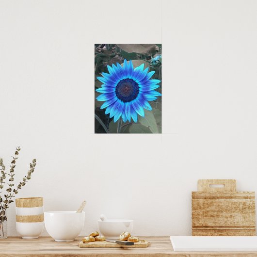Poster van blauwe zonnebloem (Keuken)