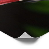 Poster van boomkikker (Hoek)