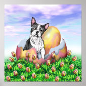 Poster van Boston Terrier Easter Surprise (Voorkant)