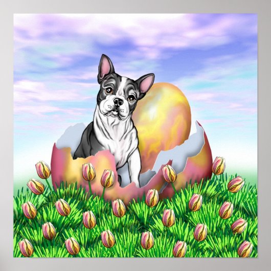 Poster van Boston Terrier Easter Surprise (Voorkant)