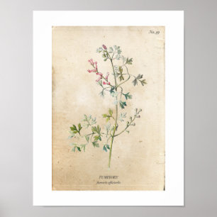  Poster van botanische wilde bloemen
