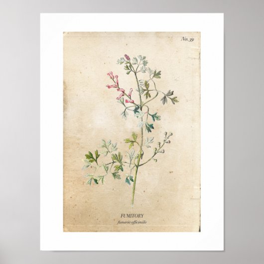 Poster van botanische wilde bloemen (Voorkant)