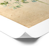 Poster van botanische wilde bloemen (Hoek)