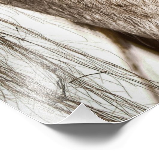 poster van bruin paard (Hoek)