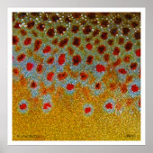 Poster van bruine forel (Voorkant)