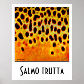Poster van bruine forel (Voorkant)
