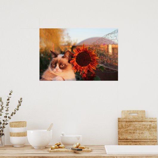 Poster van bruine kat (Keuken)