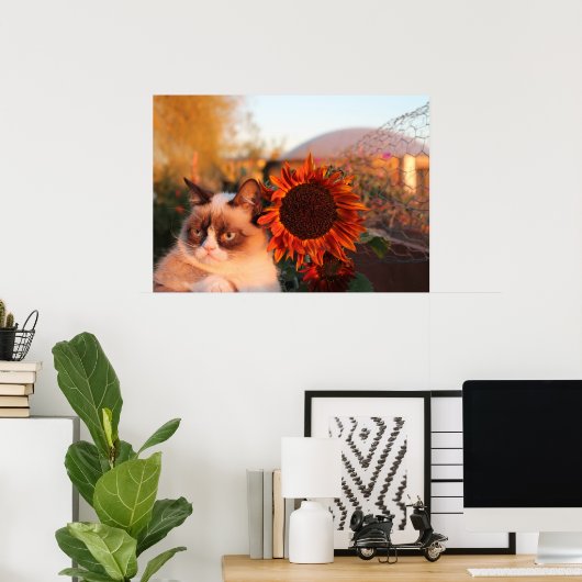 Poster van bruine kat (Thuiskantoor)