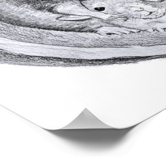 Poster van buisratten (Hoek)