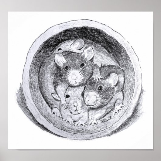 Poster van buisratten (Voorkant)