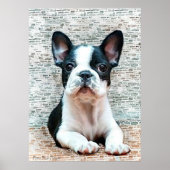 Poster van Bulldog (Voorkant)