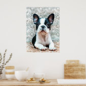 Poster van Bulldog (Keuken)