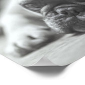 Poster van Bulldog (Hoek)