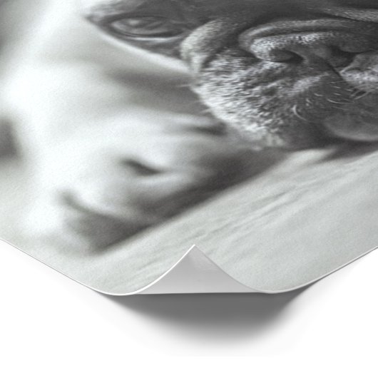 Poster van Bulldog (Hoek)