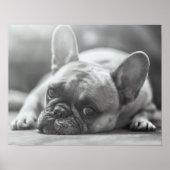 Poster van Bulldog (Voorkant)