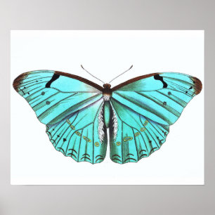 Poster van Butterfly Turqoise Blue