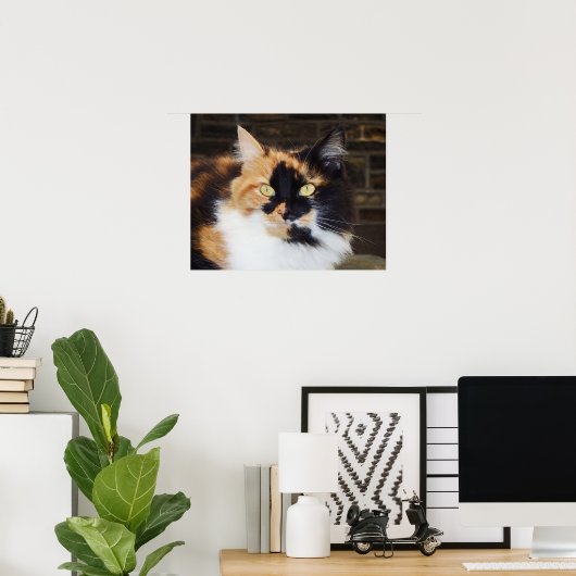 Poster van Calico-katten (Thuiskantoor)