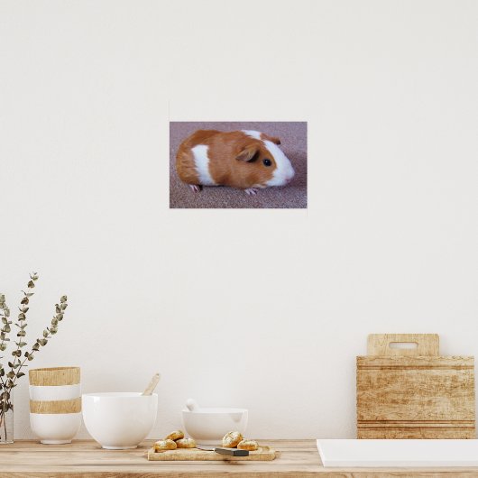 Poster van cavia's (Keuken)
