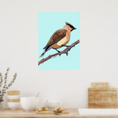 poster van cedar-wasvogel (Keuken)