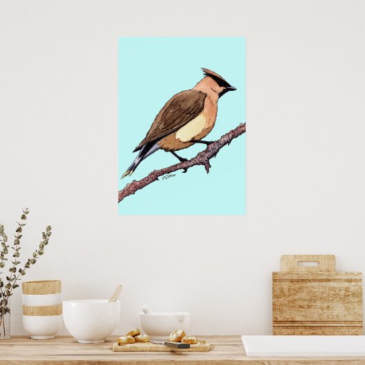 poster van cedar-wasvogel (Keuken)
