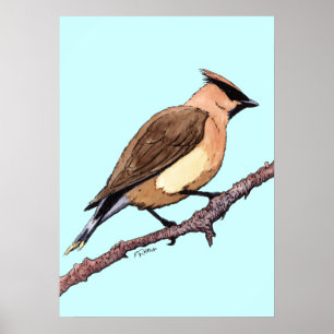 poster van cedar-wasvogel