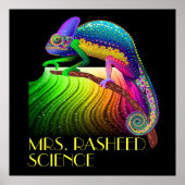 Poster van Chameleon/Science Teacher (Voorkant)