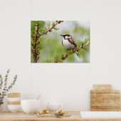 Poster van Chickadee Bird Natuur Wall (Keuken)