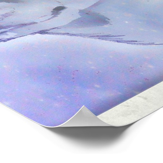 Poster van Chihuahua door Carol Zeock (Hoek)