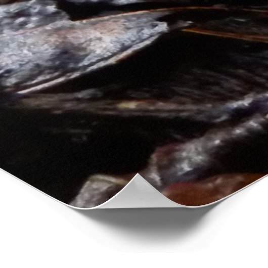 Poster van Clathrus ruber (Hoek)