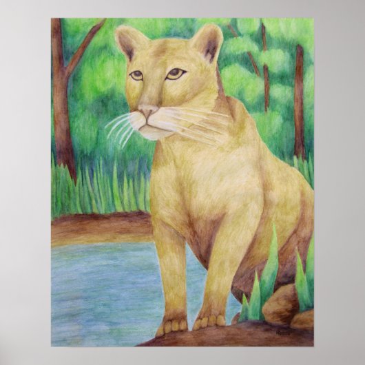 Poster van cougar (Voorkant)