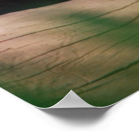 Poster van cougar (Hoek)