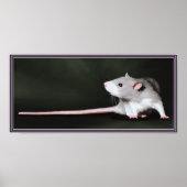Poster van Cute Rat-schilderij (Voorkant)