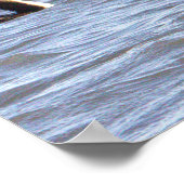 Poster van de aalscholver met dubbele kuif (Hoek)